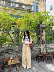 Áo MTG cổ V kẻ ngựa