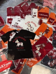 Áo thun ngựa cute - Form rộng dưới 65kg