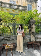 Áo MTG cổ V kẻ ngựa