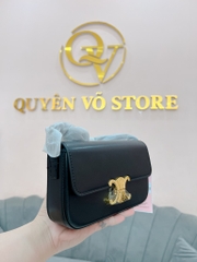 Túi kẹp nách Celine Size 21