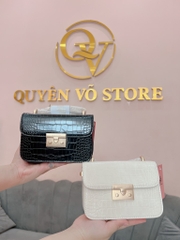 Túi CnK Đinh