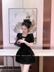 Đầm tafta cổ V đính đá - 1070