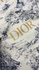 Áo thun Dior