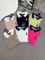 Áo thun cổ bẻ thêu ngựa - Form vừa