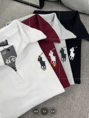 Áo thun cổ bẻ ngựa - Form vừa