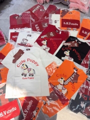 Áo thun ngựa cute - Form rộng dưới 65kg