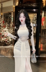 Đầm ôm body tay dài dáng dài