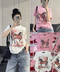 Áo thun ngựa - Form vừa 45-55kg