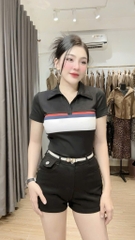 Áo thun cổ bẻ phối màu - Form vừa