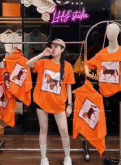 Áo thun ngựa ô vuông - Form rộng dưới 65kg