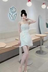 Đầm cúp ngực kim sa hoa hồng - S