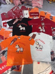 Áo thun ngựa cute - Form rộng dưới 65kg