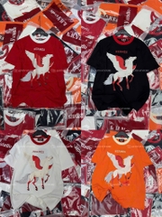 Áo thun ngựa cánh - Form rộng dưới 65kg