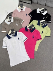 Áo thun cổ bẻ thêu ngựa - Form vừa