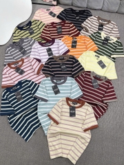 Áo thun sọc trơn - Form vừa