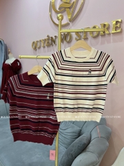 Áo MTG gấu kẻ nhuyễn