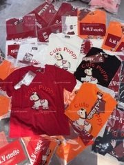 Áo thun ngựa cute - Form rộng dưới 65kg