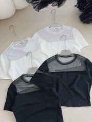 Áo thun croptop lưới - Freesize