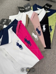 Áo thun cổ bẻ thêu ngựa - Form vừa