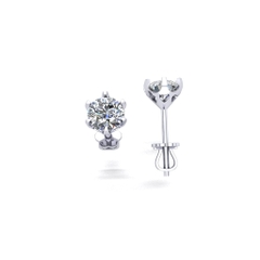 hoa-tai-bac-htb220325