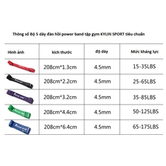 Bộ 5 dây kháng lực power band tập gym