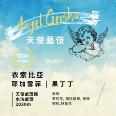 Angel Geisha WASHED - 天使藝伎_ 水洗