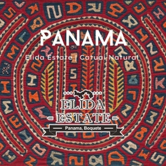 Panama Elida <br> 巴拿馬 艾利達 (SOLD OUT-缺貨)