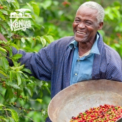 Kenya AA - washed 肯亞 AA - 水洗豆