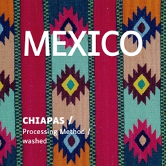 Mexico washed - Imported Drip Filter Coffee 10pcs/box<br>掛耳禮盒 - 墨西哥 - 水洗豆10包/盒 (SOLD OUT-缺貨)