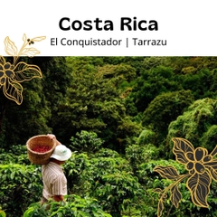 Costa Rica El Conquistador  washed- Imported Drip Filter Coffee​​​​​​​ 10pcs/box<br>掛耳禮盒 - 哥斯大黎加征服者 10包/盒 (SOLD OUT-缺貨)