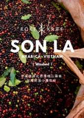 SonLa Arabica Washed- Drip Filter Coffee 10pcs/box<br>掛耳禮盒 水洗豆- 越南山羅阿拉比卡豆 10包/盒
