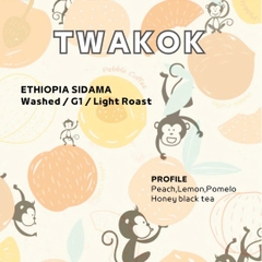 Ethiopia Sidama Twakok - Washed  <br> 衣索比亞 西達摩桃可可- 水洗豆
