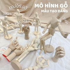 Mô Hình Người Gỗ - Bàn Tay Gỗ