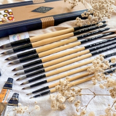 Cọ Vẽ Đầu Tròn Sunway C582