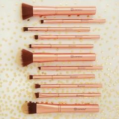 Bộ cọ BHCosmetics Metal Rose