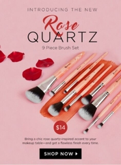 Thanh lý bộ cọ BHCosmetics Rose Quartz bị rách vỏ hộp giấy