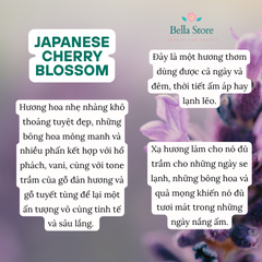 Xịt thơm cơ thể Bath and Body Works Japanese Cherry Blossom Fullsize 236ml