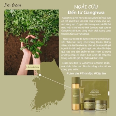 Tinh chất ngải cứu phục hồi làm dịu da I'm From Mugwort Essence