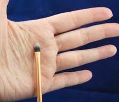 Cọ Real Techniques Detailer Brush