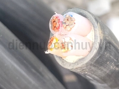 dây cáp điện cadisun CU/XLPE/PVC 4x10