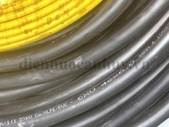 dây cáp điện cadisun CXV 4x6.0