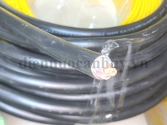 dây cáp điện cadisun CXV 4x6.0