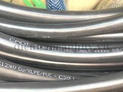 dây cáp điện CXV 2x16 cadisun
