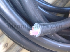 dây cáp điện CXV 2x16 cadisun