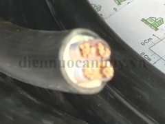 dây cáp điện cadisun CXV 4x16