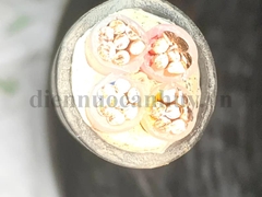 dây cáp điện cadisun CXV 4x16