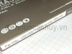 Giáp nhật P1000