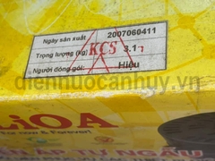Biến áp đổi nguồn 110V Lioa 600W