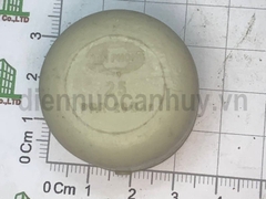 Bịt trơn PPR Tiền Phong 25