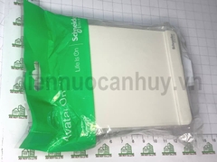Bộ công tắc trung gian AvatarOn E8331M_WE_G19 Schneider
